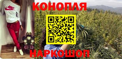 крисы Кунгур