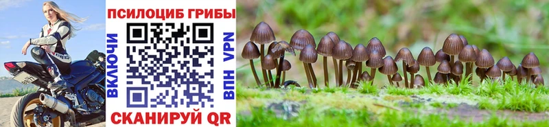 Галлюциногенные грибы MAGIC MUSHROOMS  Кашира 
