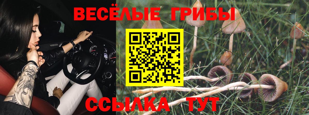 Псилоцибиновые грибы прущие грибы Кашира