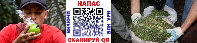 купить закладку Кашира Марихуана Ganja